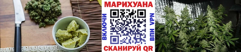 наркота  Краснозаводск  Cannafood конопля 