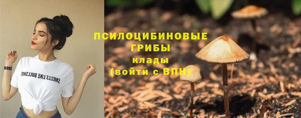 гидропоника Белоозёрский