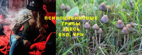 MESCALINE Белокуриха