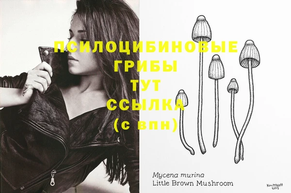 MESCALINE Белокуриха