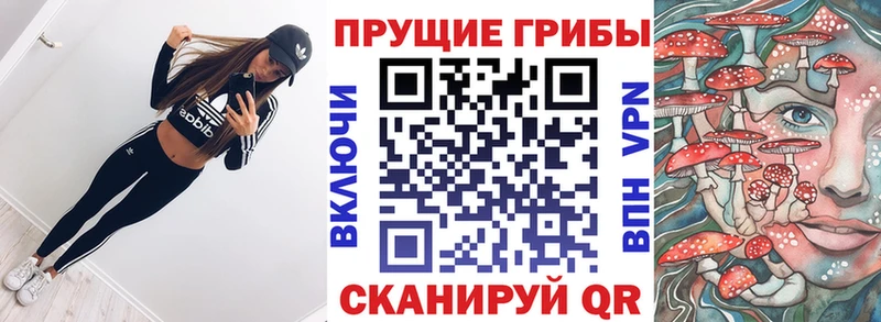 OMG сайт  Краснозаводск  Галлюциногенные грибы ЛСД 